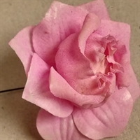 pink vokset papir rose fra 1950'erne gammel kunstig blomst genbrug